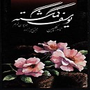 یوسف گمگشته Cover