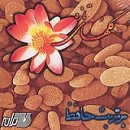 بر تربت حافظ Cover